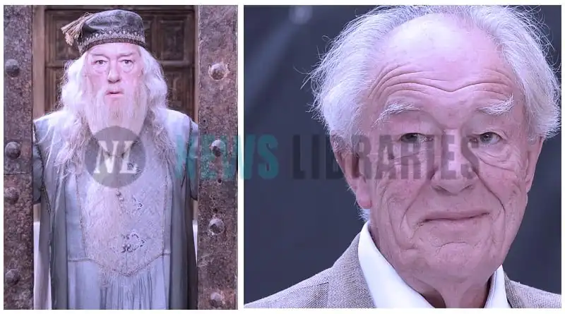 Michael Gambon the accomplished actor renowned for his portrayal of Dumbledore in six 'Harry Potter' films has passed away at the age of 82