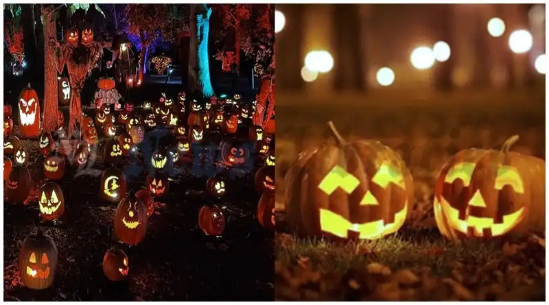 Sustainable Halloween Practical Advice for an Eco-Friendly Celebration